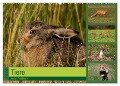 Tiere in der Feldmark (Wandkalender 2024 DIN A2 quer), CALVENDO Monatskalender - Winfried Erlwein