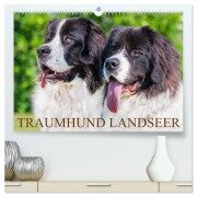 Traumhund Landseer (hochwertiger Premium Wandkalender 2026 DIN A2 quer), Kunstdruck in Hochglanz - Sigrid Starick