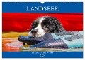 Landseer - Ein starker Freund auf 4 Pfoten (Wandkalender 2024 DIN A3 quer), CALVENDO Monatskalender - Sigrid Starick