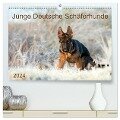 Junge Deutsche Schäferhunde (hochwertiger Premium Wandkalender 2024 DIN A2 quer), Kunstdruck in Hochglanz - Petra Schiller