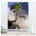Bäume - Stilles Leben (hochwertiger Premium Wandkalender 2024 DIN A2 hoch), Kunstdruck in Hochglanz - Jana Behr