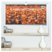 Flamingo Impressionen 2026 (hochwertiger Premium Wandkalender 2026 DIN A2 quer), Kunstdruck in Hochglanz - Ingo Gerlach