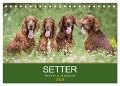 Setter - Geliebter Freund und Jagdkamerad (Tischkalender 2024 DIN A5 quer), CALVENDO Monatskalender - Andrea Mayer Tierfotografie