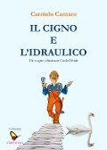 Cover-Bild zum Titel 'Il cigno e l'Idraulico. Un sogno chiamato Carla Bruni' von 'Carmelo Cantaro'
