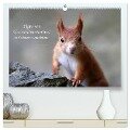 Tipps von Eichhörnchen an Eichhörnchenliebhaber (hochwertiger Premium Wandkalender 2024 DIN A2 quer), Kunstdruck in Hochglanz - Birgit Cerny
