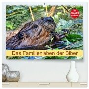 Das Familienleben der Biber (hochwertiger Premium Wandkalender 2026 DIN A2 quer), Kunstdruck in Hochglanz - Kattobello Kattobello