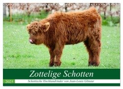 Zottelige Schotten (Wandkalender 2025 DIN A3 quer), CALVENDO Monatskalender - Jean-Louis Glineur