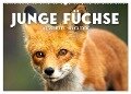 Junge Füchse - Verspielte Neugierde. (Wandkalender 2024 DIN A2 quer), CALVENDO Monatskalender - Sf Sf