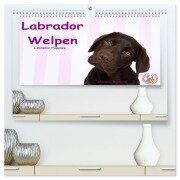 Cover-Bild zum Titel 'Labrador Welpen - Labrador Puppies (hochwertiger Premium Wandkalender 2026 DIN A2 quer), Kunstdruck in Hochglanz' von 'Jeanette Hutfluss'