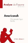 Americanah de Chimamanda Ngozi Adichie (Analyse de l'¿uvre) - Maria Aalto