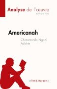 Cover-Bild zum Titel 'Americanah de Chimamanda Ngozi Adichie (Analyse de l'¿uvre)' von 'Maria Aalto'