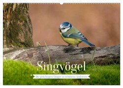 SINGVÖGEL - Die prächtigen Sänger in schönem Ambiente (Wandkalender 2025 DIN A2 quer), CALVENDO Monatskalender - Arne Wünsche
