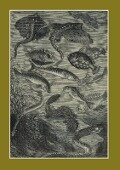 Carnet Ligné Vingt Mille Lieues Sous Les Mers, Jules Verne, 1871: Le Fleuve Noir - 