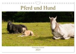 Pferd und Hund - Vierbeinige Freunde (Wandkalender 2025 DIN A4 quer), CALVENDO Monatskalender - Meike Bölts