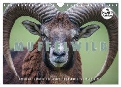 Emotionale Momente: Muffelwild. (Wandkalender 2026 DIN A4 quer), CALVENDO Monatskalender - Ingo Gerlach