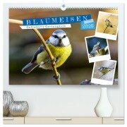 Gefiederte Gartengäste, Blaumeisen (hochwertiger Premium Wandkalender 2026 DIN A2 quer), Kunstdruck in Hochglanz - Sabine Löwer