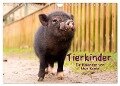 Tierkinder (Wandkalender 2024 DIN A4 quer), CALVENDO Monatskalender - Uwe Kantz