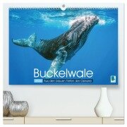 Buckelwale: Aus den blauen Tiefen der Ozeane (hochwertiger Premium Wandkalender 2026 DIN A2 quer), Kunstdruck in Hochglanz - Calvendo Calvendo
