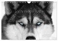 Faszination Husky (Wandkalender 2024 DIN A4 quer), CALVENDO Monatskalender - Of Snow Wolf Valley