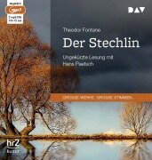 Cover-Bild zum Titel 'Der Stechlin' von 'Theodor Fontane'