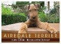 Airedale Terrier (Wandkalender 2024 DIN A3 quer), CALVENDO Monatskalender - Gaby Rottmann