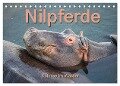 Nilpferde, Kolosse im Wasser (Tischkalender 2024 DIN A5 quer), CALVENDO Monatskalender - Robert und Andrea Styppa