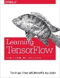 Cover-Bild zum Titel 'Learning TensorFlow' von 'Tom Hope, Yehezkel S. Resheff, Itay Lieder'