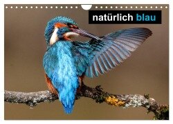natürlich blau (Wandkalender 2025 DIN A4 quer), CALVENDO Monatskalender - Günter Bachmeier