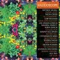 Kaleidoscope! New Spirits Known and Unknown (2CD) - Soul Jazz Records Presents/Various
