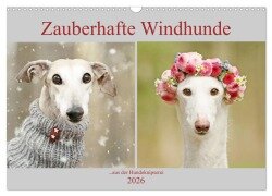 Zauberhafte Windhunde (Wandkalender 2026 DIN A3 quer), CALVENDO Monatskalender - Kathrin Köntopp