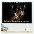 Australian Shepherd - Traum auf vier Pfoten (hochwertiger Premium Wandkalender 2024 DIN A2 quer), Kunstdruck in Hochglanz - Andrea Mayer Tierfotografie