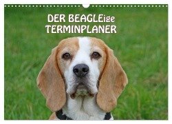 Cover-Bild zum Titel 'DER BEAGLEige TERMINPLANER (Wandkalender 2026 DIN A3 quer), CALVENDO Monatskalender' von 'Antje Lindert-Rottke'