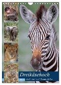 Dreikäsehoch - Tierkinder im südlichen Afrika (Wandkalender 2024 DIN A4 hoch), CALVENDO Monatskalender - Wibke Woyke