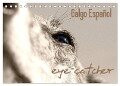 Galgo eye-catcher (Tischkalender 2024 DIN A5 quer), CALVENDO Monatskalender - Pfoten-Design Andrea Redecker