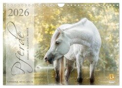 Pferde - Anmut, Eleganz, Magie (Wandkalender 2026 DIN A4 quer), CALVENDO Monatskalender - Sabrina Mischnik