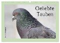 Geliebte Tauben (Wandkalender 2024 DIN A3 quer), CALVENDO Monatskalender - Ramona Meißner