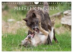 Meister Isegrim (Wandkalender 2025 DIN A4 quer), CALVENDO Monatskalender - Ingo Gerlach GDT
