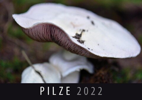 Pilze 2022 - 