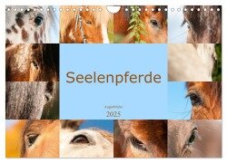 Seelenpferde - Augenblicke (Wandkalender 2025 DIN A4 quer), CALVENDO Monatskalender - Meike Bölts