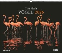 Tim Flach: Vögel 2026 - Posterkalender von DUMONT- Vogel-Porträts von Tim Flach - Poster-Format 50 x 70 cm - 