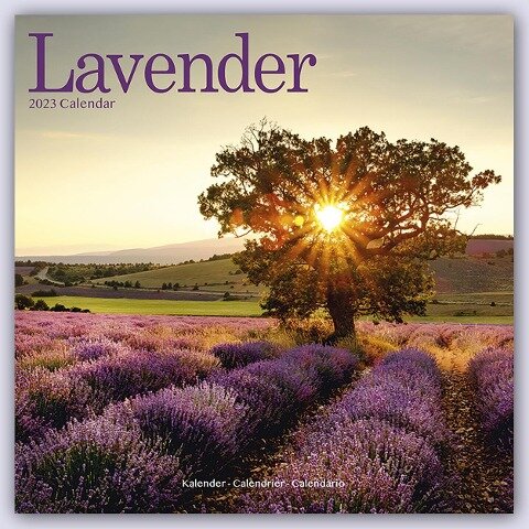 Lavender - Lavendel 2023 - 16-Monatskalender - 