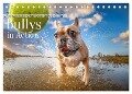 Bullys in Action - Französische Bulldoggen lieben Bälle (Tischkalender 2025 DIN A5 quer), CALVENDO Monatskalender - Fotodesign Verena Scholze
