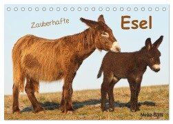 Zauberhafte Esel (Tischkalender 2025 DIN A5 quer), CALVENDO Monatskalender - Meike Bölts
