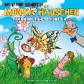 28: Warum sind Schmetterlinge bunt? - Kati Naumann, Klaus Brotmann