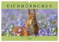 Eichhörnchen im Königlichen Garten (Wandkalender 2024 DIN A3 quer), CALVENDO Monatskalender - Margret Brackhan