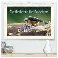 Gefiederte Schönheiten - Die Blaumeise (hochwertiger Premium Wandkalender 2024 DIN A2 quer), Kunstdruck in Hochglanz - Rolf Pötsch