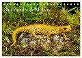 Salamander und Molche (Tischkalender 2024 DIN A5 quer), CALVENDO Monatskalender - Benny Trapp
