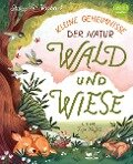 Kleine Geheimnisse der Natur - Wald und Wiese - Annett Stütze, Britta Vorbach