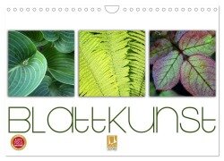 Blattkunst (Wandkalender 2025 DIN A4 quer), CALVENDO Monatskalender - Martina Cross
