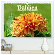 Dahlien - Blütenpracht im Spätsommer (hochwertiger Premium Wandkalender 2025 DIN A2 quer), Kunstdruck in Hochglanz - LianeM LianeM